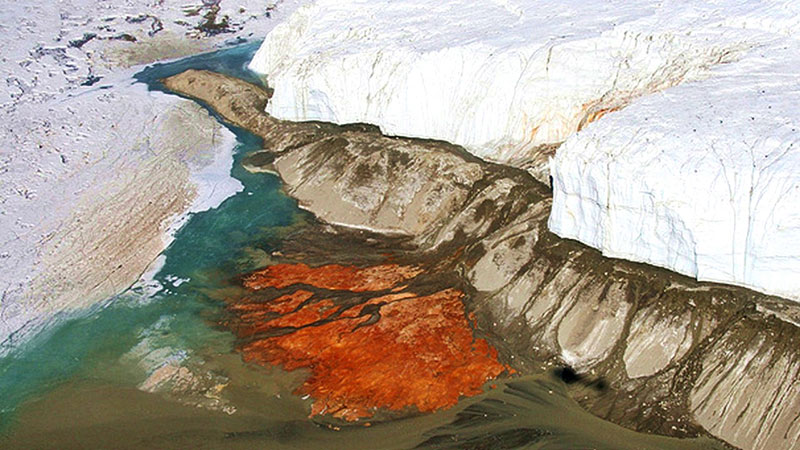 Nhà Sâu | Vùng đất kỳ lạ | Một chiếc thác máu ở Nam Cực