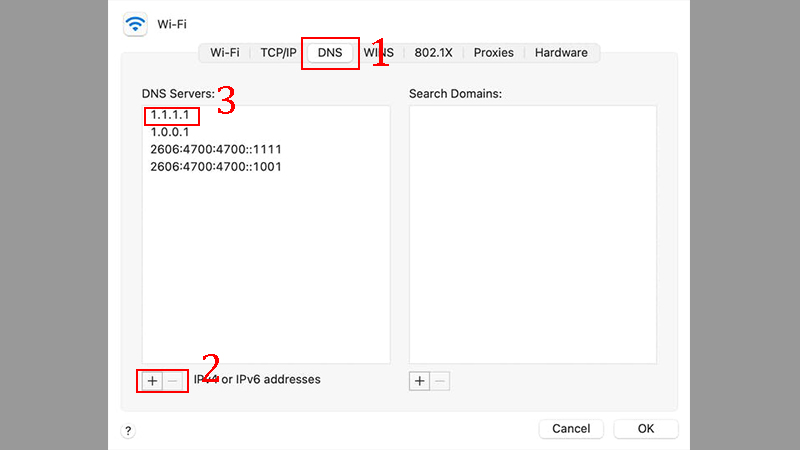 Bước 3: Chuyển qua tab DNS, chọn biểu tượng dấu cộng “+” lần đầu để thêm Preferred DNS.